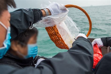 骨灰撒大海意义|骨灰撒海